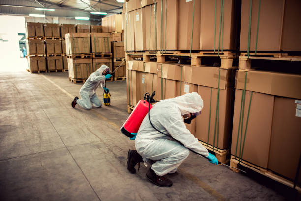 Wasp Removal Services in Lake Bluff, IL
