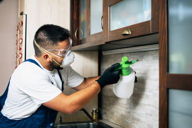 Best Local Pest Control Services  in Lake Bluff, IL