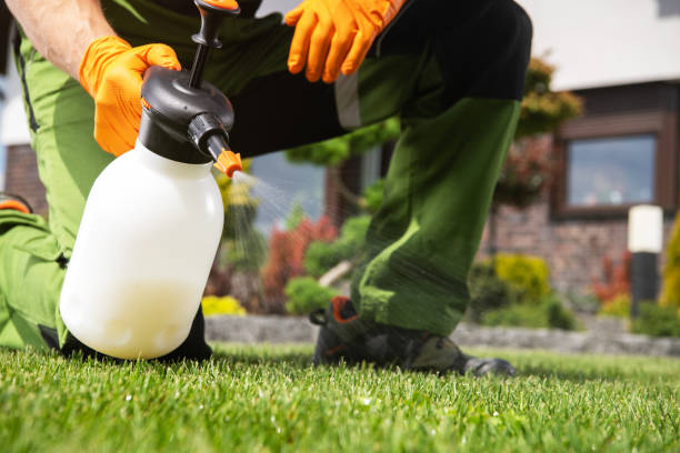 Best Pest Removal Services  in Lake Bluff, IL