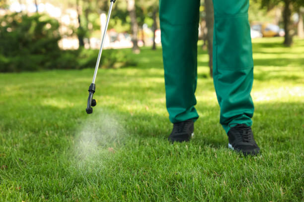 Best Flea Control Services  in Lake Bluff, IL