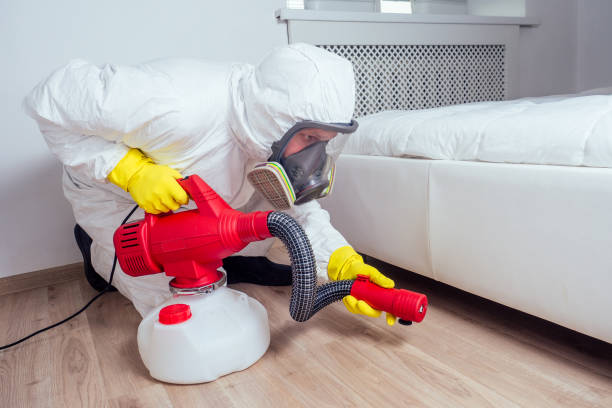 Best Insect Control  in Lake Bluff, IL