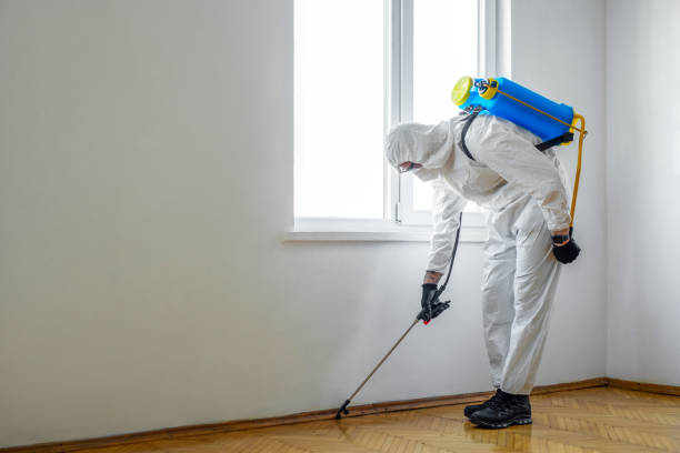 Best Mosquito Control Services  in Lake Bluff, IL