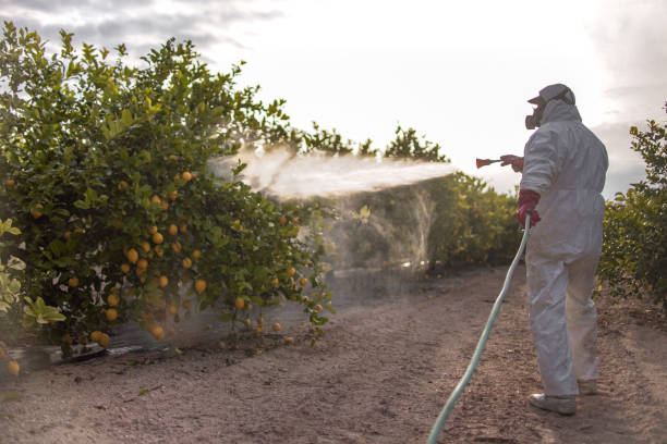 Best Commercial Pest Control Services  in Lake Bluff, IL