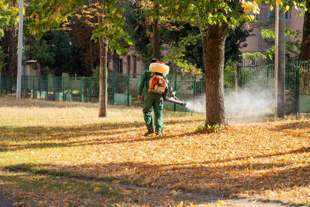 Best Bird Control  in Lake Bluff, IL