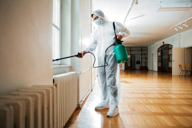 Best Termite Control Services  in Lake Bluff, IL