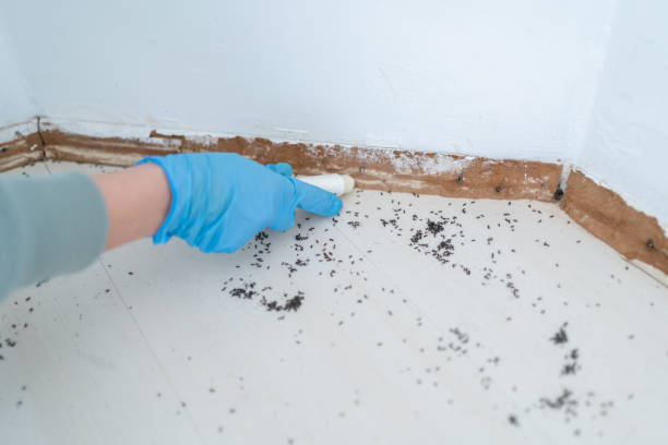 Pest Control Cost in Lake Bluff, IL