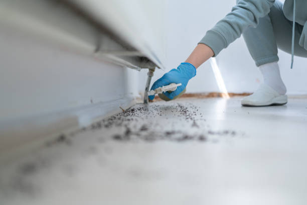 Best Best Pest Control Companies  in Lake Bluff, IL