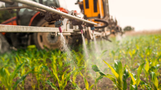 Best Pest Control for Homes  in Lake Bluff, IL